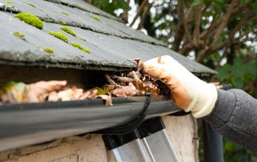 gutter cleaning Covington